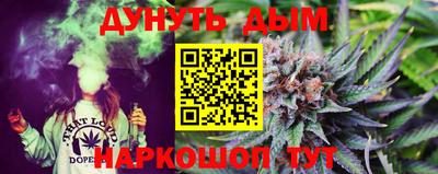 шишки Жуковский