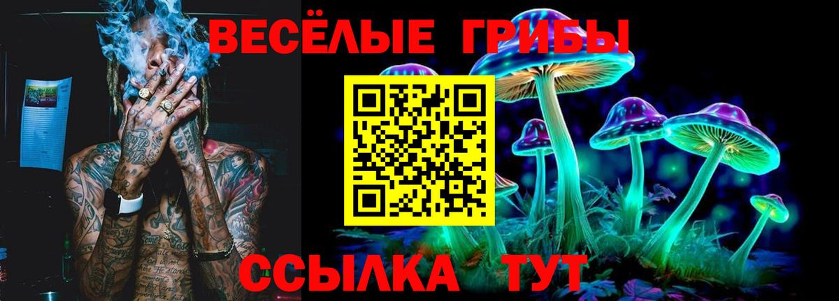Лабытнанги  Псилоцибиновые грибы Cubensis  Вход с VPN 